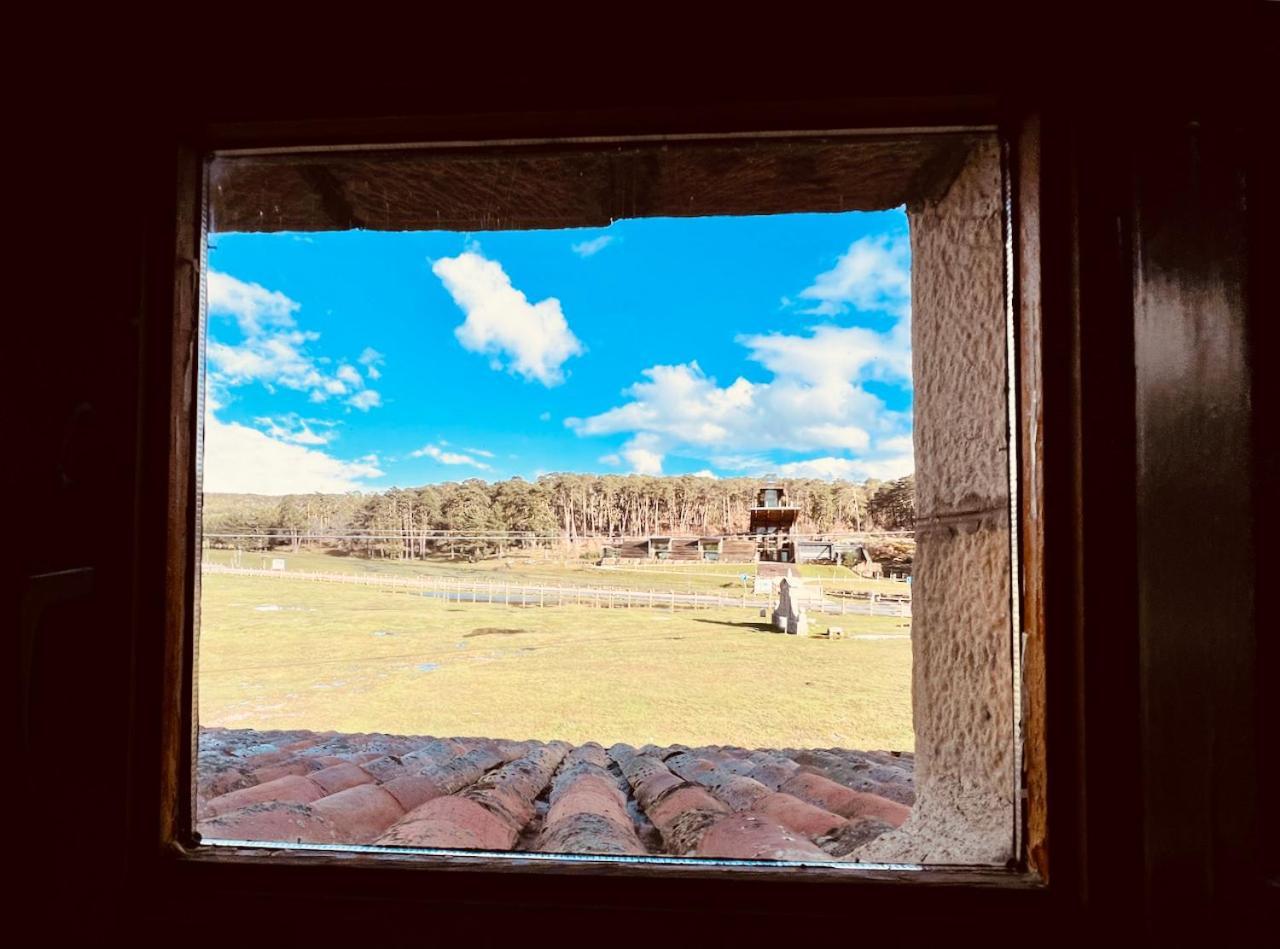 Albergue Pinares - La Casona De Revenga Regumiel de la Sierra Eksteriør bilde